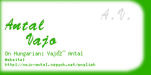 antal vajo business card